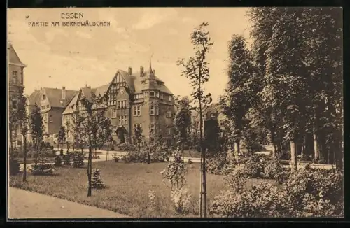 AK Essen, Partie am Bernewäldchen