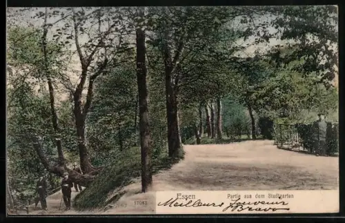 AK Essen, Partie aus dem Stadtgarten