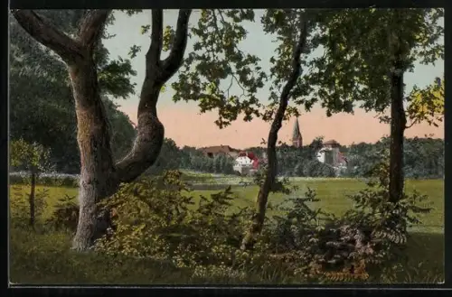 AK Fallingbostel, Blick auf Stadt und Kirche