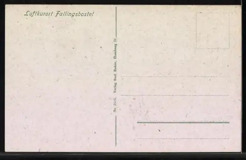 AK Fallingbostel, Blick auf Stadt und Kirche