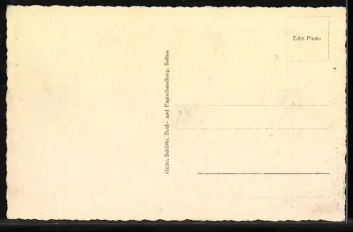 AK Soltau /Lüneburger Heide, Blick von der Seilerstrasse