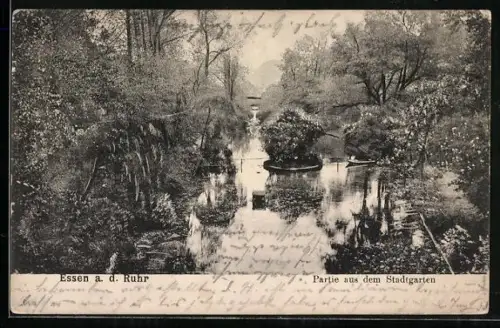 AK Essen a. d. Ruhr, Partie aus dem Stadtgarten