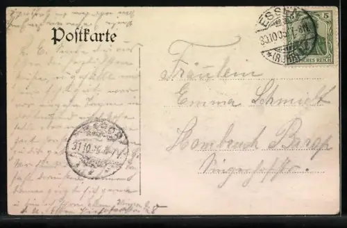 AK Essen a. d. Ruhr, Partie aus dem Stadtgarten