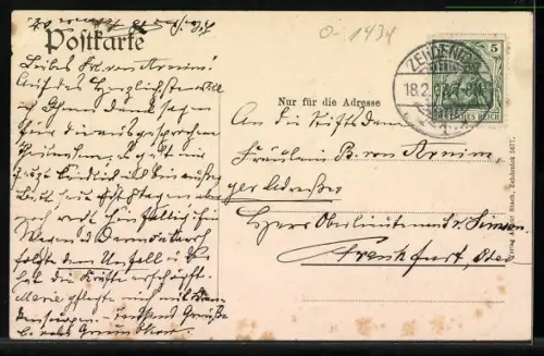 AK Zehdenick, Hirschgruppe im Zehdenicker Forst