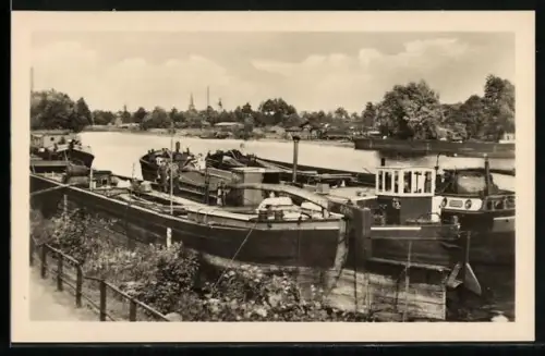 AK Zehdenick, Havelpartie