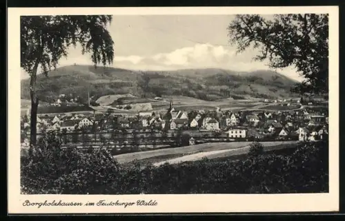 AK Borgholzhausen im Teutoburger Walde, Ortsansicht