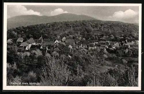 AK Tischardt /Nürtingen, Ortsansicht