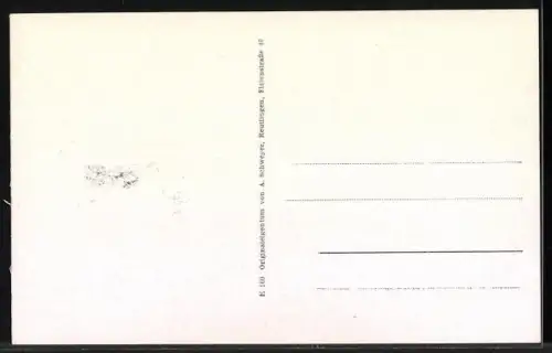 AK Tischardt /Nürtingen, Ortsansicht