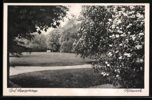AK Bad Lippspringe, Kurpark