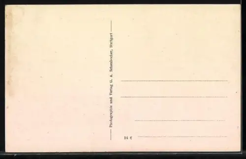 AK Stuttgart, Stiftskirche mit altem Schloss