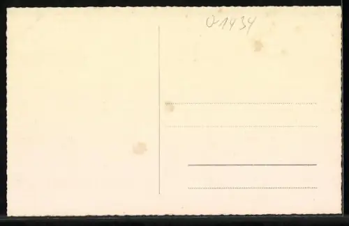 AK Zehdenick, Havelpartie am Schlösschen