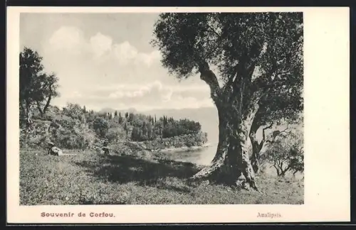 AK Corfou, Analipsis