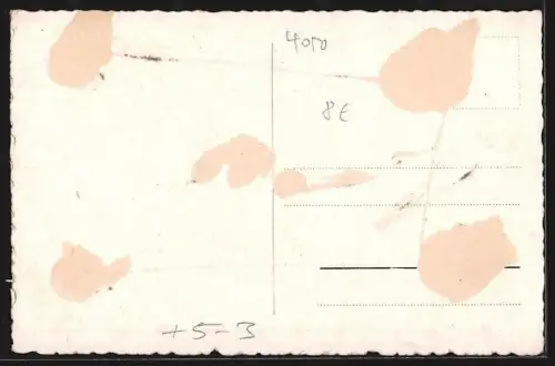 AK Rheydt, Handels- und Gewerbeschule, Bauhaus