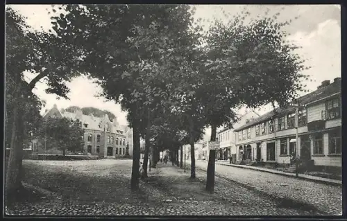 AK Walsrode, Kirchstrasse mit Anwohnern