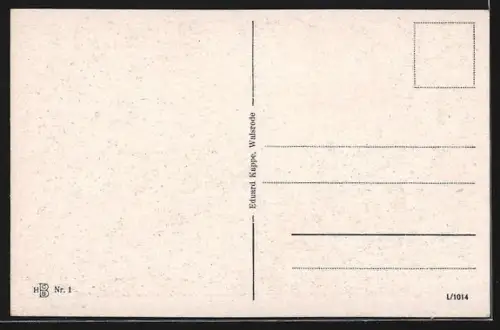 AK Walsrode, Moorstrasse mit Geschäft von Hermann Lenthe