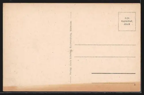 AK Walsrode, Brückstrasse mit Geschäften