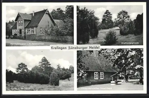 AK Krelingen /Lüneburger Heide, Gemischtwaren v. H. Barenscheer, Wacholdergruppe