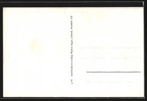 AK Krelingen /Lüneburger Heide, Gemischtwaren v. H. Barenscheer, Wacholdergruppe