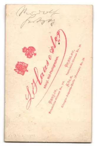 Fotografie L. Haase & Co., Berlin, Herr im Anzug mit Fliege und Zylinder lehnt an einem Podest