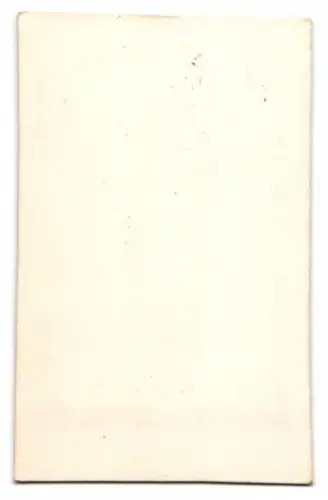 Fotografie attraktive junge Frau posiert sitzend vor einer Studiokulisse