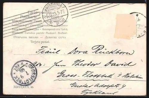 AK Christiania, Drammensveien, Strassenbahn