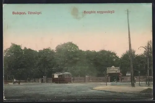 AK Budapest, Városliget, Strassenbahn