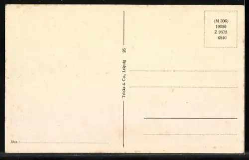 AK Sondershausen in Thür., Stadtansicht mit Kirche und Schloss