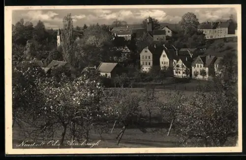 AK Neustadt /Orla, Arnshaugk, Ortsansicht und Streuobstwiesen