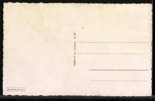 AK Neustadt /Orla, Gesamtansicht