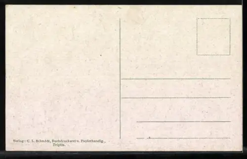 AK Triptis, Panorama mit Kirche und Turm