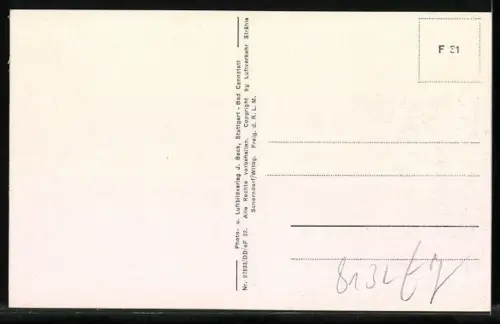 AK Tutzing bei München, Ortsansicht vom Flugzeug aus