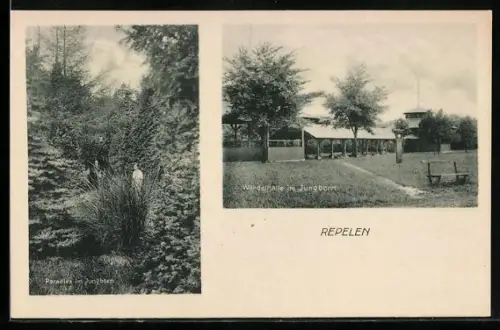 AK Repelen, Wandelhalle und Paradies im Jungborn