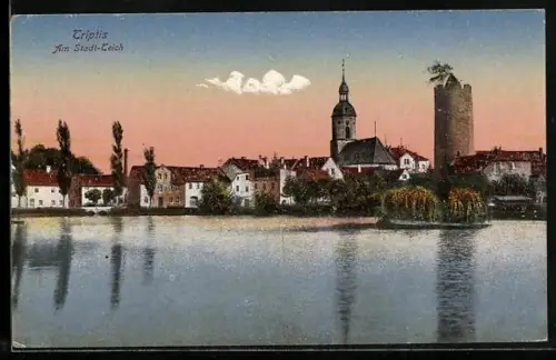 AK Triptis, Am Stadt-Teich, Ortspanorama
