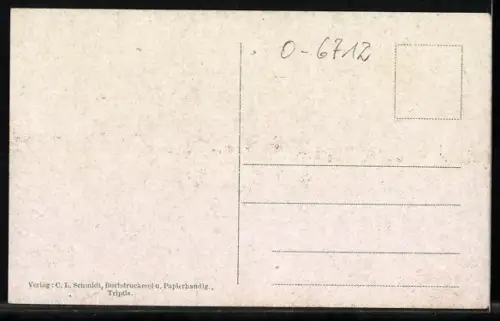 AK Triptis, Am Stadt-Teich, Ortspanorama