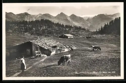 AK Berchtesgaden, Gasthof Gotzenalm mit Hoch König