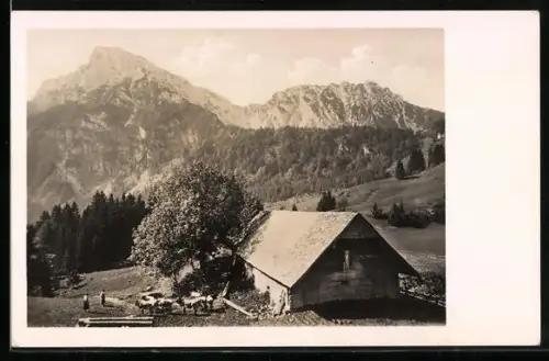 AK Piding, Gasthof Steiner-Alm, Blick auf Staufen und Zwiesel