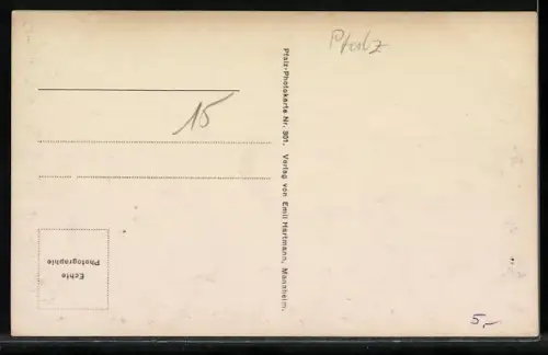 AK Landau /Pfalz, Marktstrasse mit Geschäften