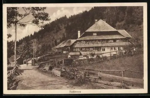 AK Todtmoos, Schwarzwaldhaus am Ortsrand