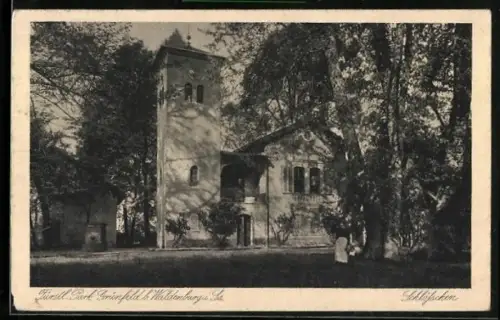 AK Grünfeld b. Waldenburg, Schloss, Fürstl. Park