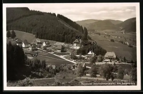 AK Neustadt /Hochschwarzwald, Am Saigelberg