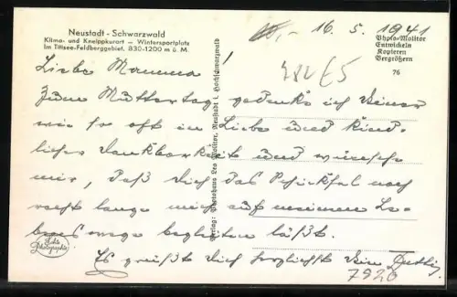 AK Neustadt /Hochschwarzwald, Am Saigelberg