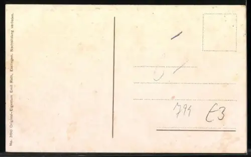 AK Friedrichshafen a. B., Hafen mit Dampfschiffen und Uferpromenade