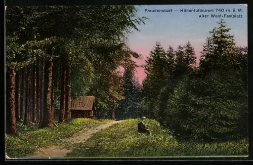 AK Freudenstadt, Alter Wald-Festplatz