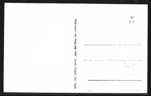 AK Waldeck am Edersee, Ortsansicht mit See und umliegenden Häusern