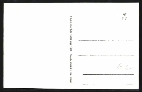 AK Waldeck am Edersee, Ortsansicht mit See und umliegenden Häusern