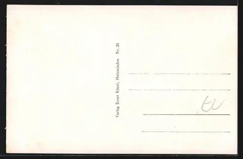 AK Holzminden, Totalansicht vom Rinkenstein