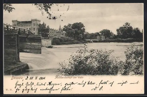 AK Dessau, Muldlandschaft am Wehr