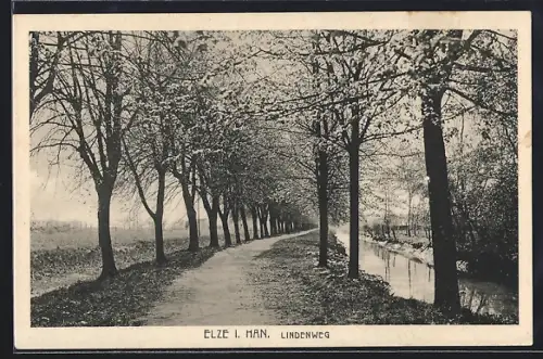 AK Elze i. Han., Lindenweg am Kanal