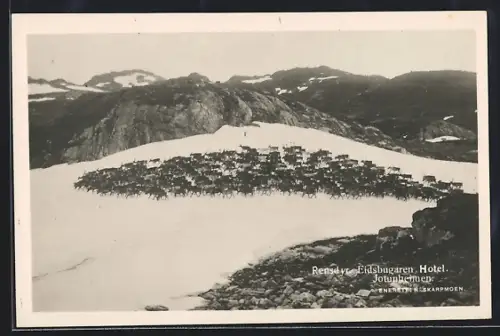 AK Jotunheimen, Eidsbugaren, Hotel Jotunheimen, Rensdyr