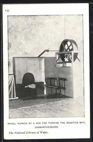AK Carmarthenshire, Wheel worked by a dog for turning the roasting spit, Kuriosa